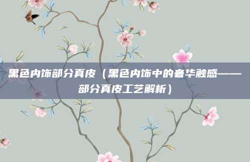 黑色内饰部分真皮(黑色内饰中的奢华触感——部分真皮工艺解析)