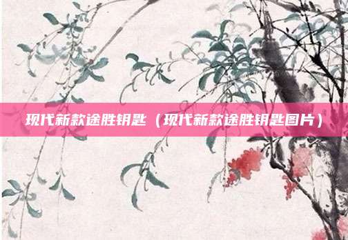 现代新款途胜钥匙(现代新款途胜钥匙图片)