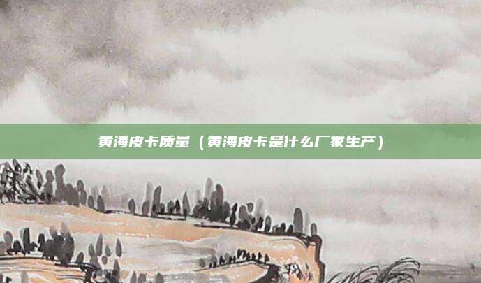 黄海皮卡质量(黄海皮卡是什么厂家生产)