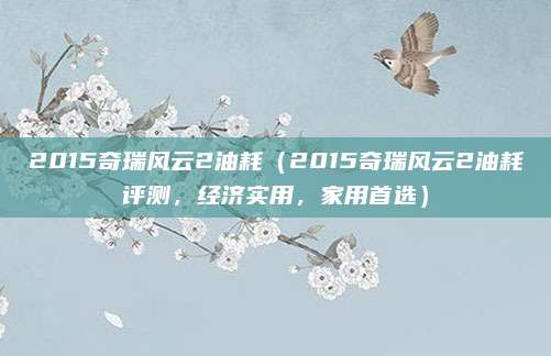 2015奇瑞风云2油耗（2015奇瑞风云2油耗评测，经济实用，家用首选）