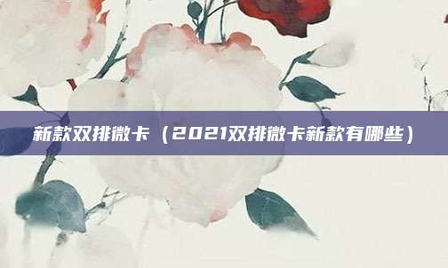新款双排微卡(2021双排微卡新款有哪些)
