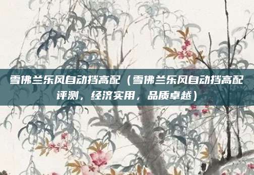 雪佛兰乐风自动挡高配(雪佛兰乐风自动挡高配评测,经济实用,品质卓越)