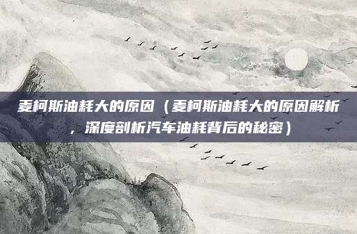 麦柯斯油耗大的原因(麦柯斯油耗大的原因解析,深度剖析汽车油耗背后的秘密)