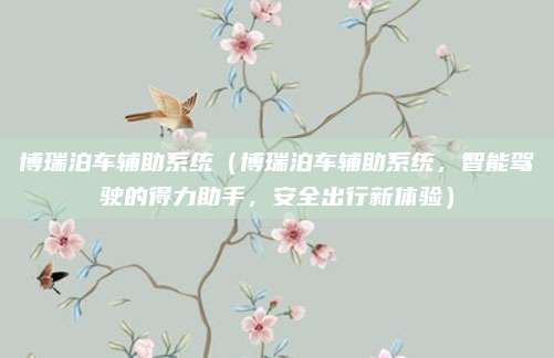 博瑞泊车辅助系统(博瑞泊车辅助系统,智能驾驶的得力助手,安全出行新体验)