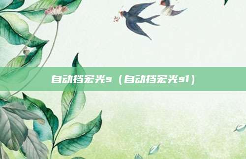 自动挡宏光s(自动挡宏光s1)