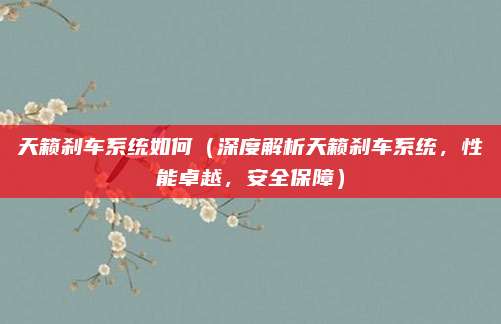 天籁刹车系统如何(深度解析天籁刹车系统,性能卓越,安全保障)