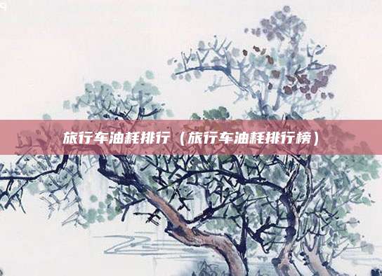 旅行车油耗排行(旅行车油耗排行榜)