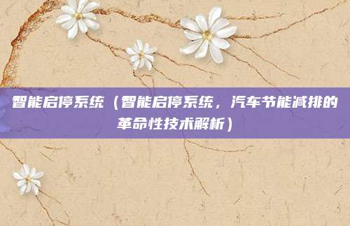 智能启停系统(智能启停系统,汽车节能减排的革命性技术解析)