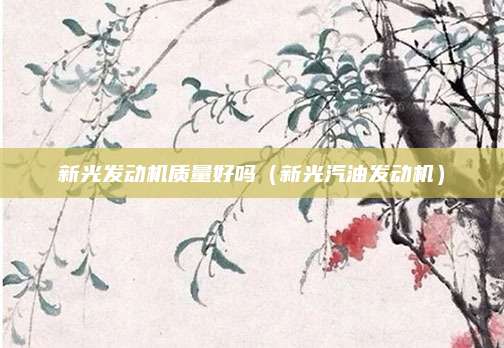 新光发动机质量好吗(新光汽油发动机)