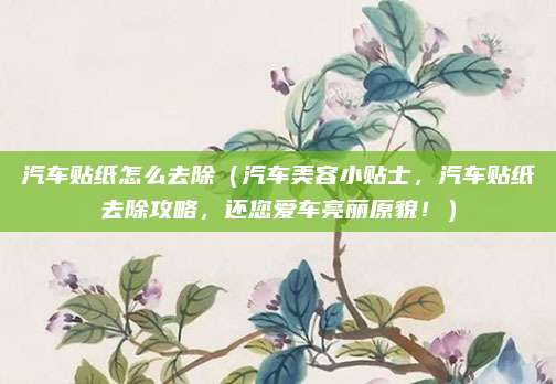 汽车贴纸怎么去除(汽车美容小贴士,汽车贴纸去除攻略,还您爱车亮丽原貌!)