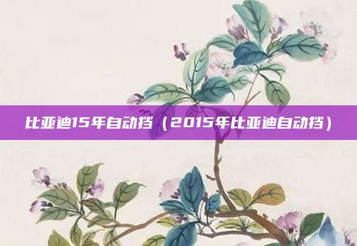比亚迪15年自动挡(2015年比亚迪自动挡)