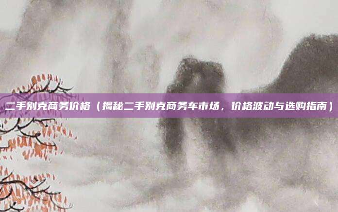 二手别克商务价格(揭秘二手别克商务车市场,价格波动与选购指南)