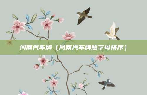 河南汽车牌(河南汽车牌照字母排序)