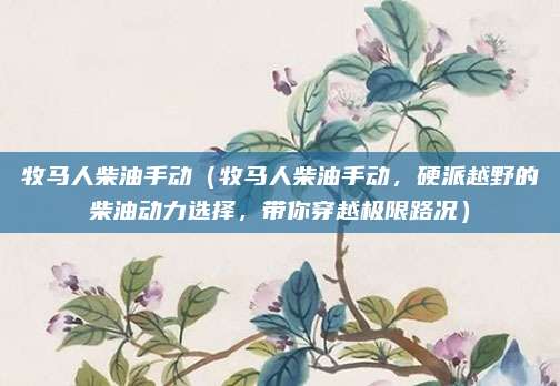 牧马人柴油手动(牧马人柴油手动,硬派越野的柴油动力选择,带你穿越极限路况)