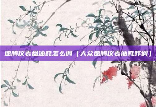 速腾仪表盘油耗怎么调(大众速腾仪表油耗咋调)