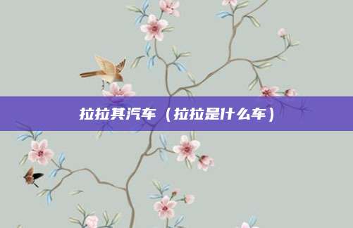 拉拉其汽车(拉拉是什么车)