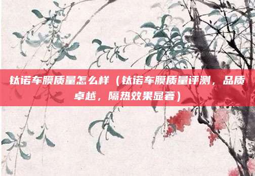钛诺车膜质量怎么样（钛诺车膜质量评测，品质卓越，隔热效果显著）