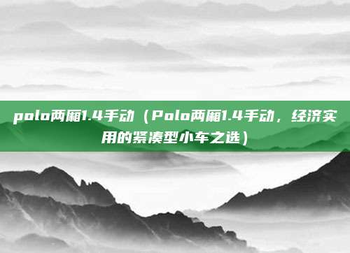 polo两厢1.4手动(Polo两厢1.4手动,经济实用的紧凑型小车之选)