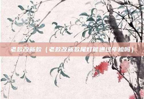 老款改新款(老款改新款尾灯能通过年检吗)