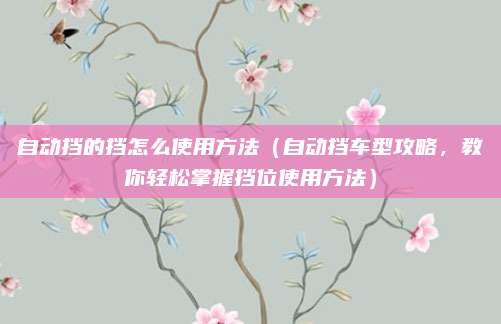 自动挡的挡怎么使用方法（自动挡车型攻略，教你轻松掌握挡位使用方法）