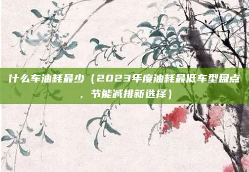 什么车油耗最少(2023年度油耗最低车型盘点,节能减排新选择)