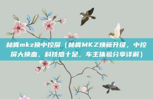 林肯mkz换中控屏(林肯MKZ焕新升级,中控屏大换血,科技感十足,车主体验分享详解)