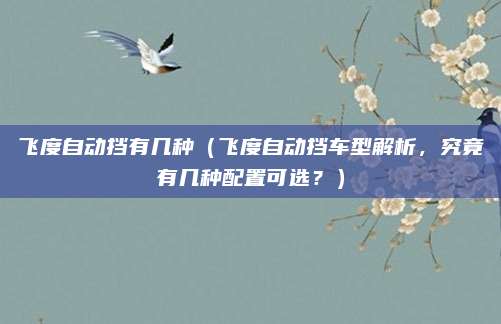 飞度自动挡有几种(飞度自动挡车型解析,究竟有几种配置可选?)
