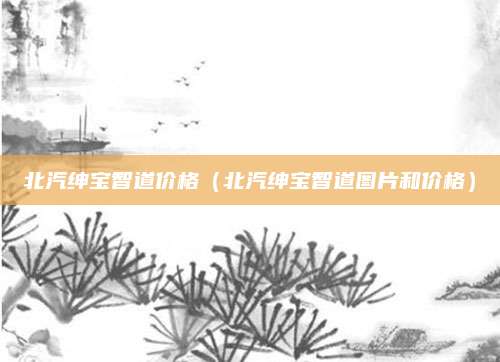 北汽绅宝智道价格(北汽绅宝智道图片和价格)