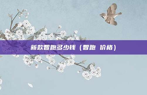 新款智跑多少钱（智跑 价格）
