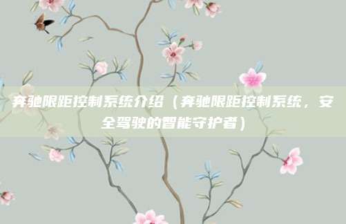 奔驰限距控制系统介绍(奔驰限距控制系统,安全驾驶的智能守护者)