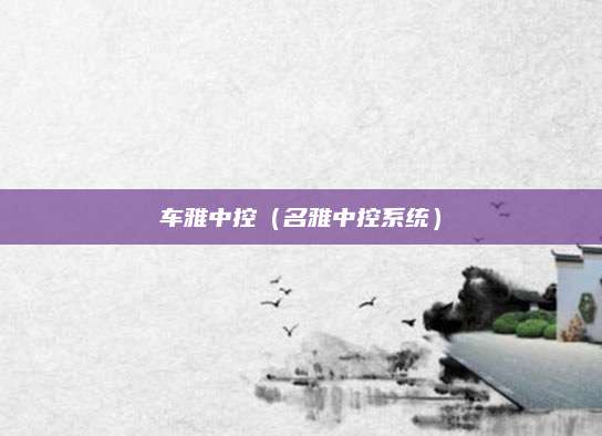 车雅中控(名雅中控系统)