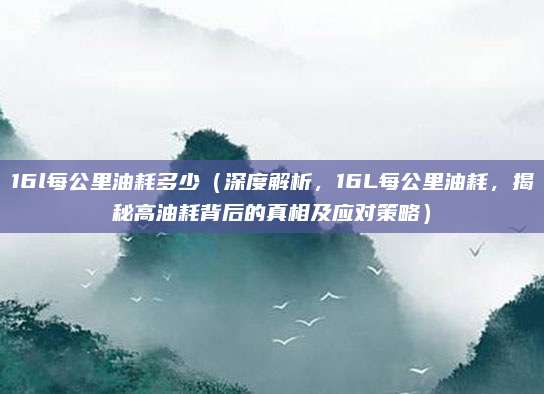 16l每公里油耗多少(深度解析,16L每公里油耗,揭秘高油耗背后的真相及应对策略)