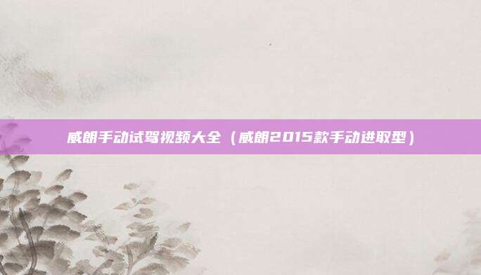 威朗手动试驾视频大全(威朗2015款手动进取型)
