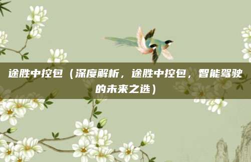途胜中控包(深度解析,途胜中控包,智能驾驶的未来之选)