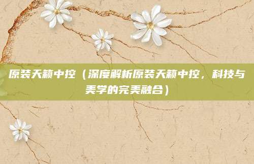 原装天籁中控(深度解析原装天籁中控,科技与美学的完美融合)