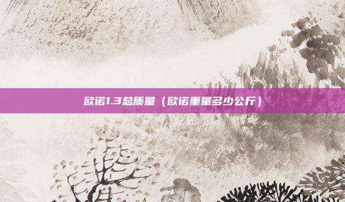 欧诺1.3总质量(欧诺重量多少公斤)