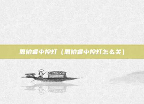 思铂睿中控灯(思铂睿中控灯怎么关)