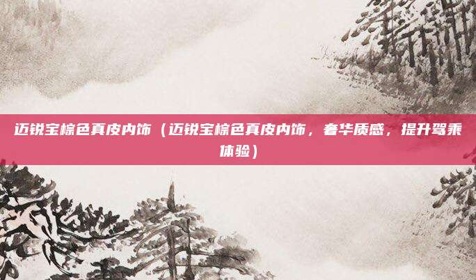 迈锐宝棕色真皮内饰(迈锐宝棕色真皮内饰,奢华质感,提升驾乘体验)