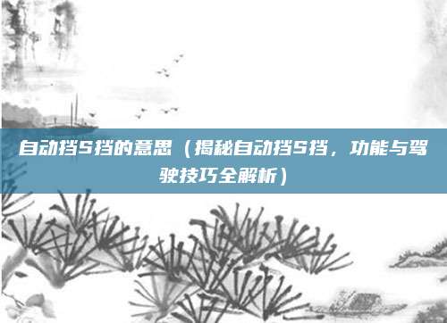 自动挡S挡的意思（揭秘自动挡S挡，功能与驾驶技巧全解析）