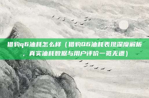 猎豹q6油耗怎么样(猎豹Q6油耗表现深度解析,真实油耗数据与用户评价一览无遗)