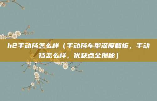 h2手动挡怎么样（手动挡车型深度解析，手动挡怎么样，优缺点全揭秘）