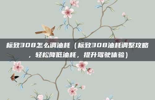 标致308怎么调油耗(标致308油耗调整攻略,轻松降低油耗,提升驾驶体验)