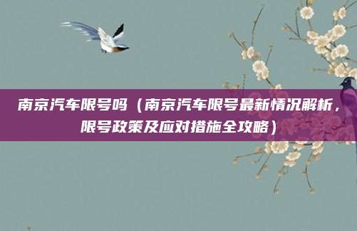南京汽车限号吗(南京汽车限号最新情况解析,限号政策及应对措施全攻略)
