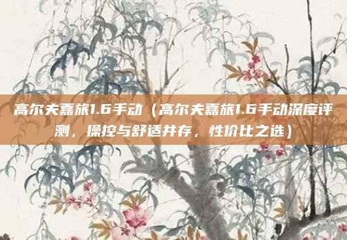 高尔夫嘉旅1.6手动(高尔夫嘉旅1.6手动深度评测,操控与舒适并存,性价比之选)