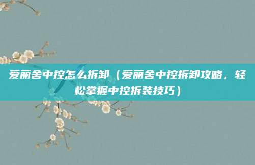 爱丽舍中控怎么拆卸（爱丽舍中控拆卸攻略，轻松掌握中控拆装技巧）
