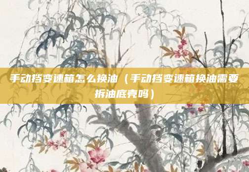 手动挡变速箱怎么换油（手动挡变速箱换油需要拆油底壳吗）