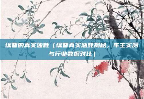 缤智的真实油耗(缤智真实油耗揭秘,车主实测与行业数据对比)