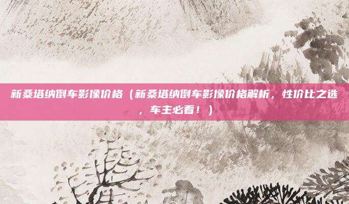 新桑塔纳倒车影像价格(新桑塔纳倒车影像价格解析,性价比之选,车主必看!)