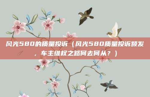 风光580的质量投诉(风光580质量投诉频发,车主维权之路何去何从?)