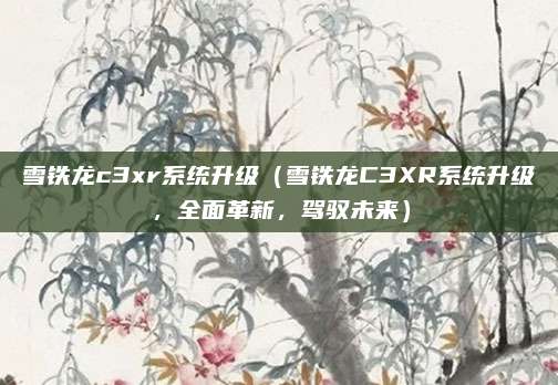 雪铁龙c3xr系统升级(雪铁龙C3XR系统升级,全面革新,驾驭未来)